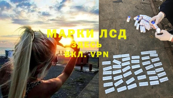 spice Богородицк