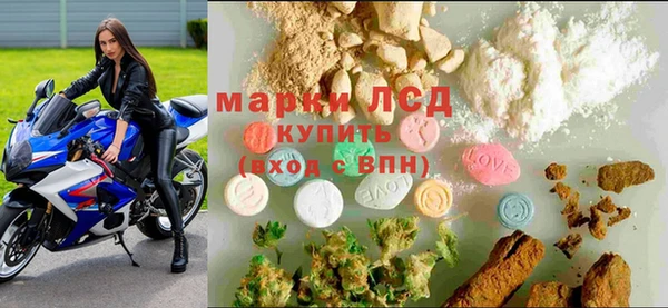 мяу мяу мука Арсеньев