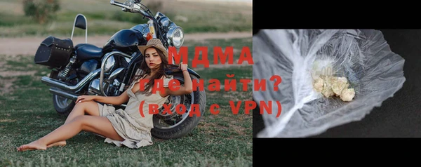 spice Богородицк