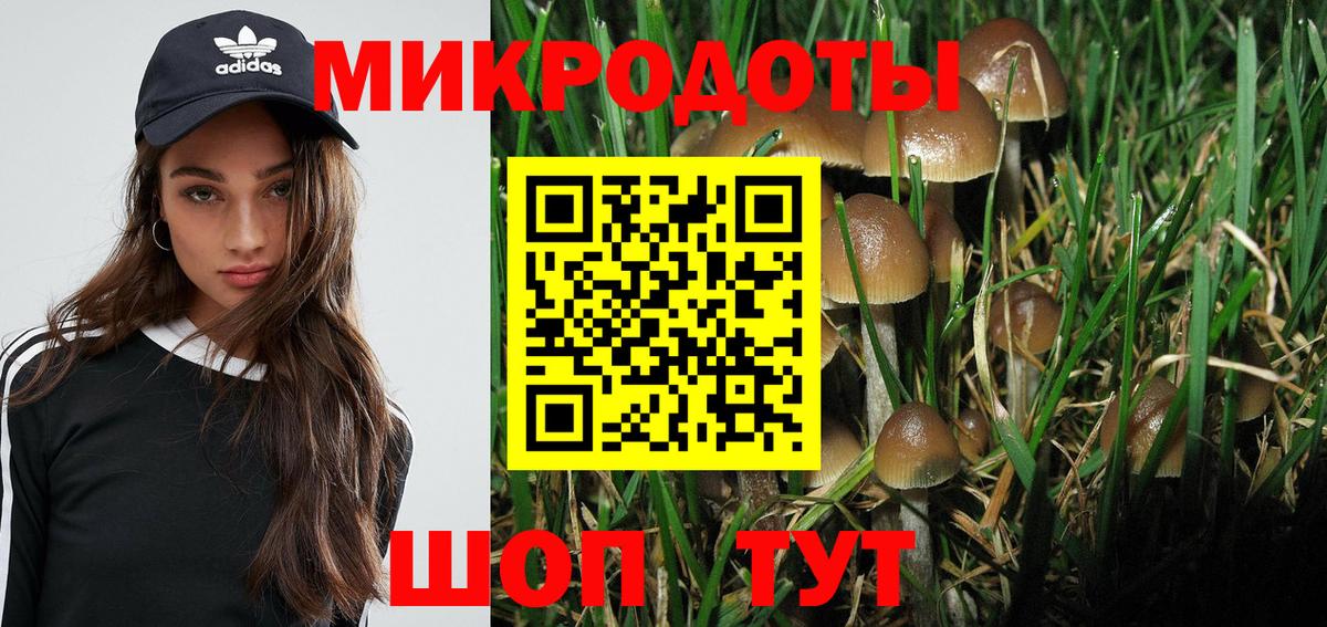 Псилоцибиновые грибы GOLDEN TEACHER  Галлюциногенные грибы MAGIC MUSHROOMS  Вход с VPN  Спасск-Дальний 